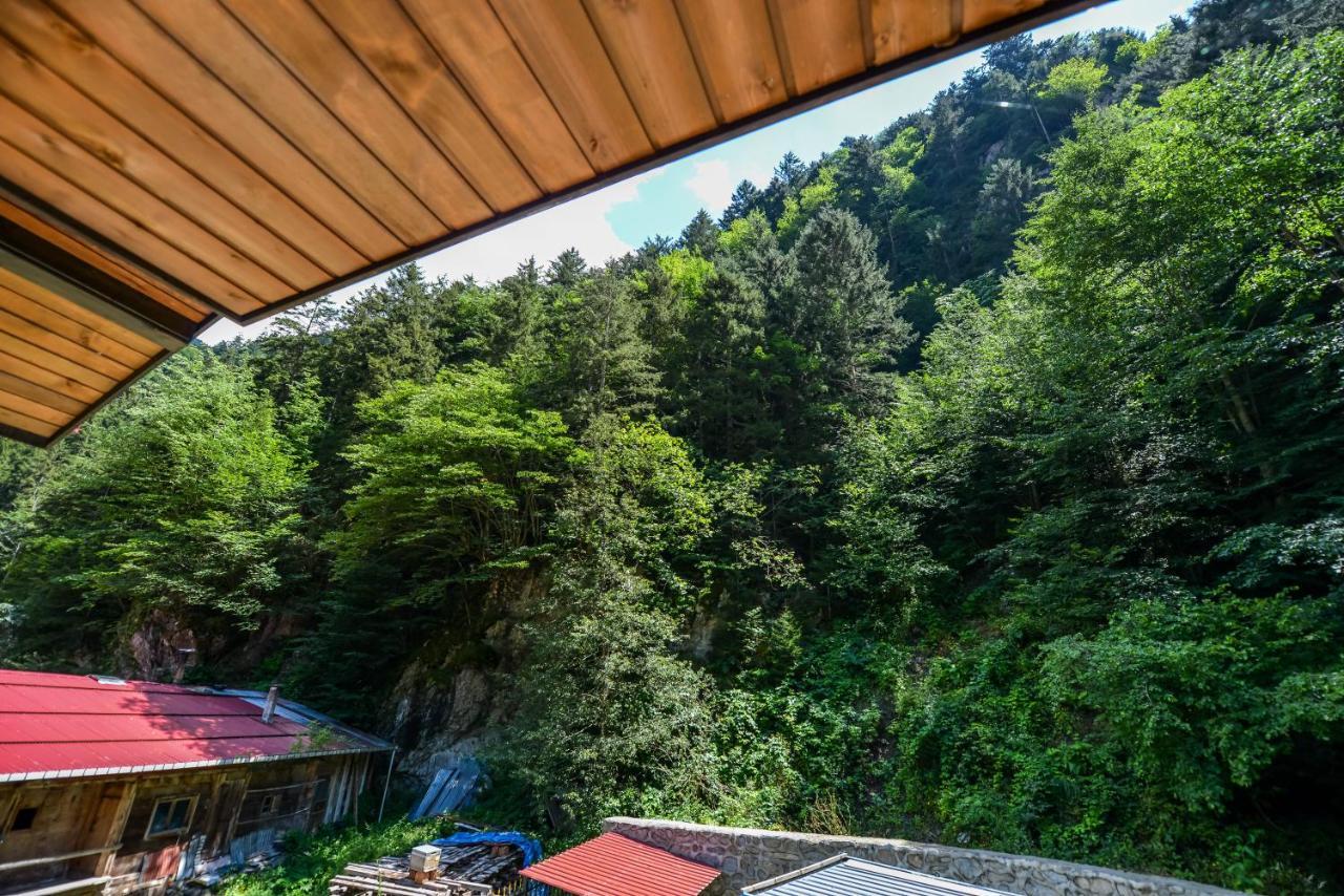 Kibar Suite Hotel Uzungöl Extérieur photo